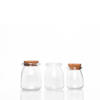 200ml Micro Landscape Eco Bottle Pudding Jar with Cork